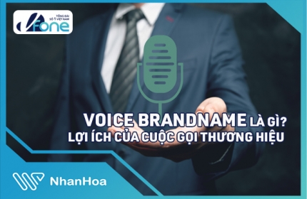 Dịch vụ Voice Brandname là gì? 05 Lợi Ích Của Cuộc Gọi Thương Hiệu 